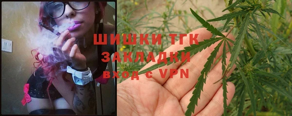 гидра Алексеевка